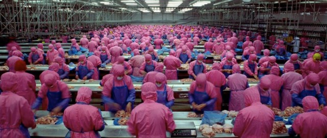 Kadr z filmu Samsara. Polecam ten fragment: http://www.dailymotion.com/video/xwpjr5_holocaust-on-a-conveyor-belt-assembly-line-of-death_news#.USTpY1rxSAo